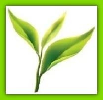 EkoKonkurs - wygraj niespodziankę od zdrowozyc.com.pl