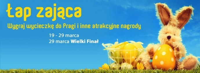 Konkurs "Łap zająca"