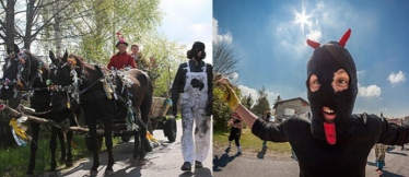 Konkurs fotograficzny "Niedźwiedzie 2015” Zrób zdjęcie i wygraj kasę!