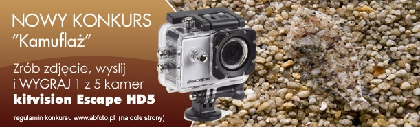 Konkurs "Kamuflaż"