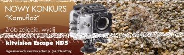 Konkurs "Kamuflaż"