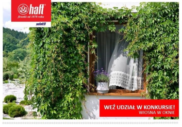 Konkurs fotograficzny "Okna w wiosennej aranżacji"