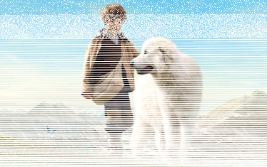 Wygraj DVD z filmem "Bella i Sebastian"