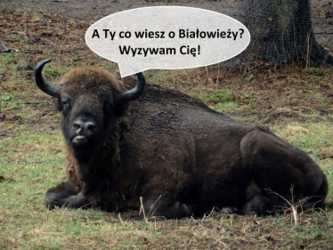 Konkurs "Białowieża z Podróżami od kuchni"