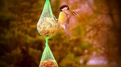 Konkurs "Miasto zwierząt"