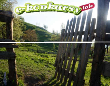 Konkurs "Drzwi OTWARTE dla niepełnosprawnych"