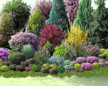 Konkurs "Kwitnący ogród"