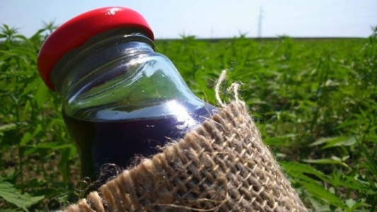 Konkurs "Zgarnij olej od Włóknistych"