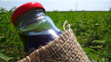 Konkurs "Zgarnij olej od Włóknistych"