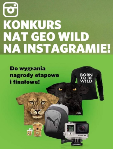Konkurs "INTO THE WILD"