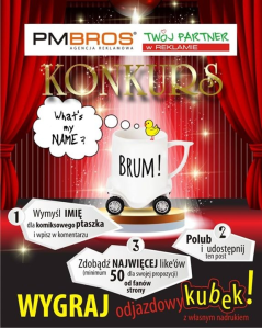 Konkurs: wymyśl imię dla ptaszka