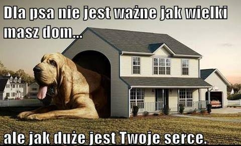 Konkurs na najaktywniejszego fana mojego bloga!