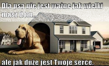 Konkurs na najaktywniejszego fana mojego bloga!