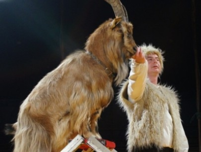 Wygraj bilet do cyrku! Gryfino, do godz. 17.30