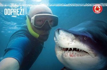 Konkurs "Małpka Express – Letni Odpręż"