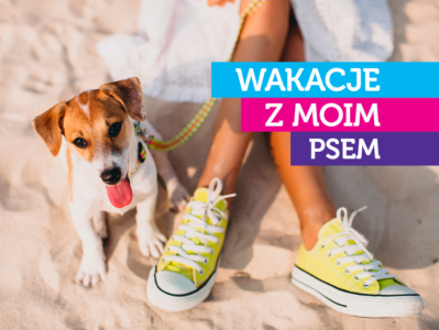 Konkurs "Wakacje z moim psem"