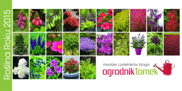 Wybierz "Roślinę Roku" i wygraj książkę do godz. 18:00