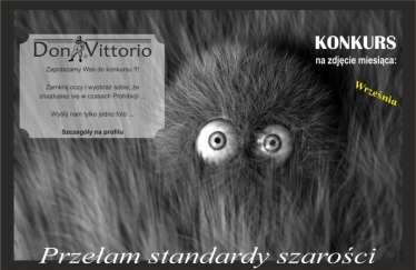 Konkurs na zdjęcie miesiąca września "Don Vittorio"