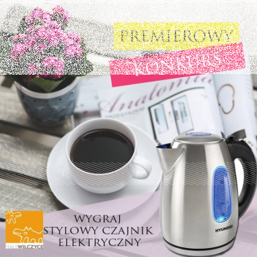 Wygraj stylowy czajnik marki Hyundai