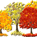 Konkurs "Drzewo w różnych porach roku"