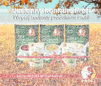 Jesienny konkurs PROFI