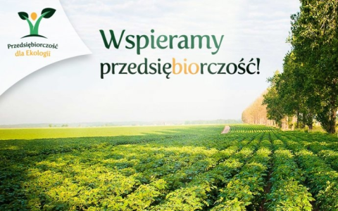 Eko-konkurs na wakacyjne wspomnienia