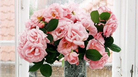 Wygraj naszyjnik z brązu pozłacany z agatami