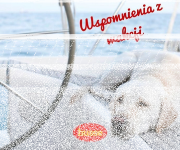 Konkurs "Wspomnienia z wakacji"