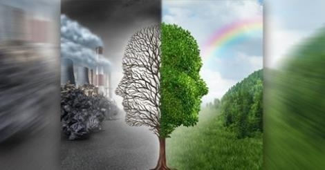 Wygraj tablet lub aparat w konkursie ekologicznym