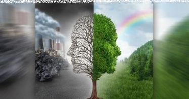 Wygraj tablet lub aparat w konkursie ekologicznym