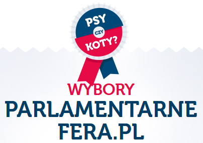 Konkurs "Wybory parlamentarne"