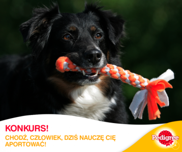 Konkurs "Czego nauczył Cię Twój Pies?"