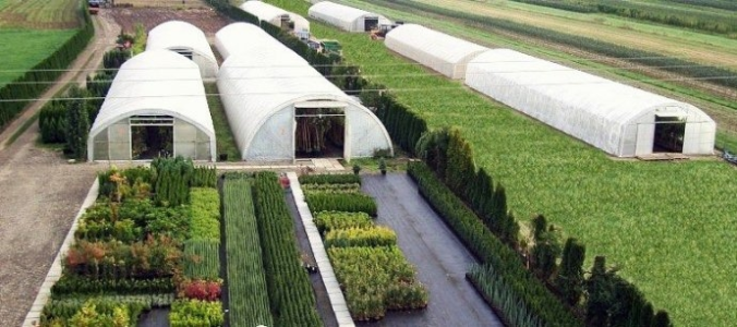 Wygraj bon o wartości 150 zł do wykorzystania na e-podkarpackiesady.pl