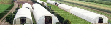 Wygraj bon o wartości 150 zł do wykorzystania na e-podkarpackiesady.pl