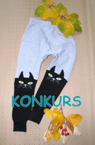 Wygraj kocie spodenki