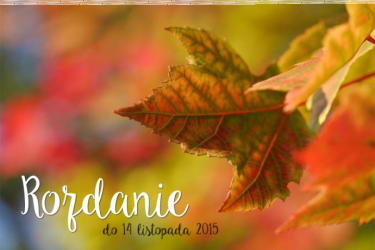 Wygraj 50 zł na zakupy w Minti Shop