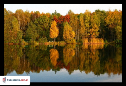 Konkurs "Ruda się mieni w barwach jesieni"