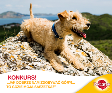 Konkurs ""Energia płynie z saszetek Pedigree"