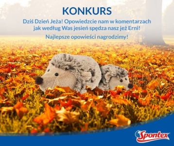Konkurs "Dzień Jeża"