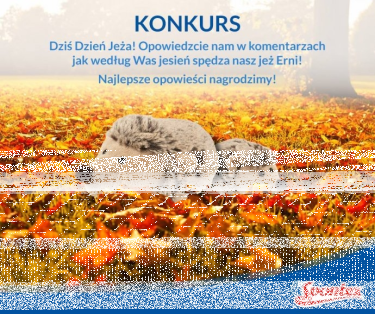 Konkurs "Dzień Jeża"