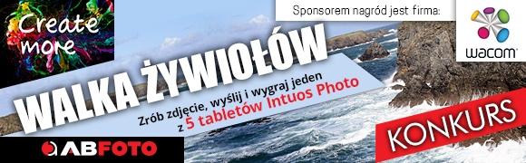 Konkurs "Walka żywiołów"