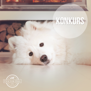 Konkurs fotograficzny "Psiaki"