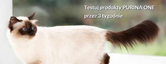 Konkurs "3-Tygodniowe Wyzwanie - Widoczne Zdrowie 2015 Jesień"