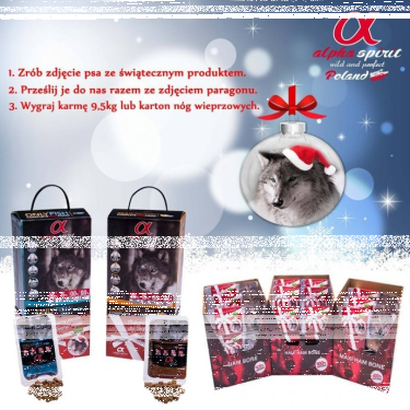 Wygraj Prezent Na Święta z Alpha Spirit
