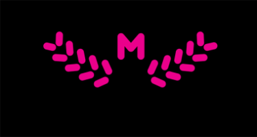 XX Konkurs im. Krzysztofa Mętraka