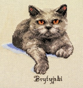 Konkurs "Kocie sprawy"