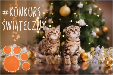 Konkurs świąteczny z Iams Polska
