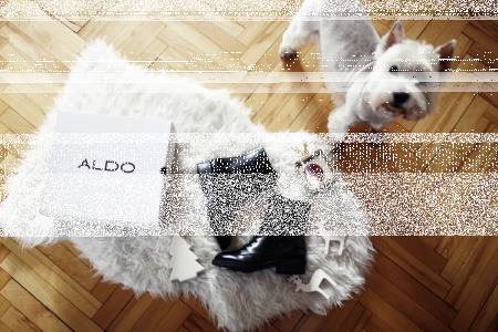 Konkurs fotograficzny: wygraj zakupy w Londynie!