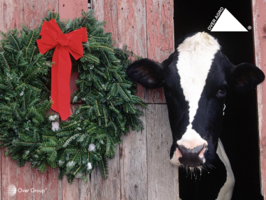 Świąteczny konkurs fotograficzny z OVER Agro