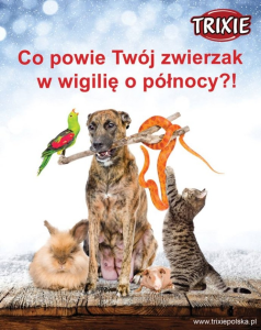 Konkurs "Co Twój zwierzak powie w Wigilię o północy?